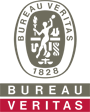 Logo Bureau Veritas Inspección y Testing 